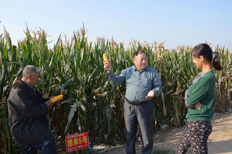 情系三農 服務百姓